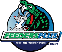 feeders-plus